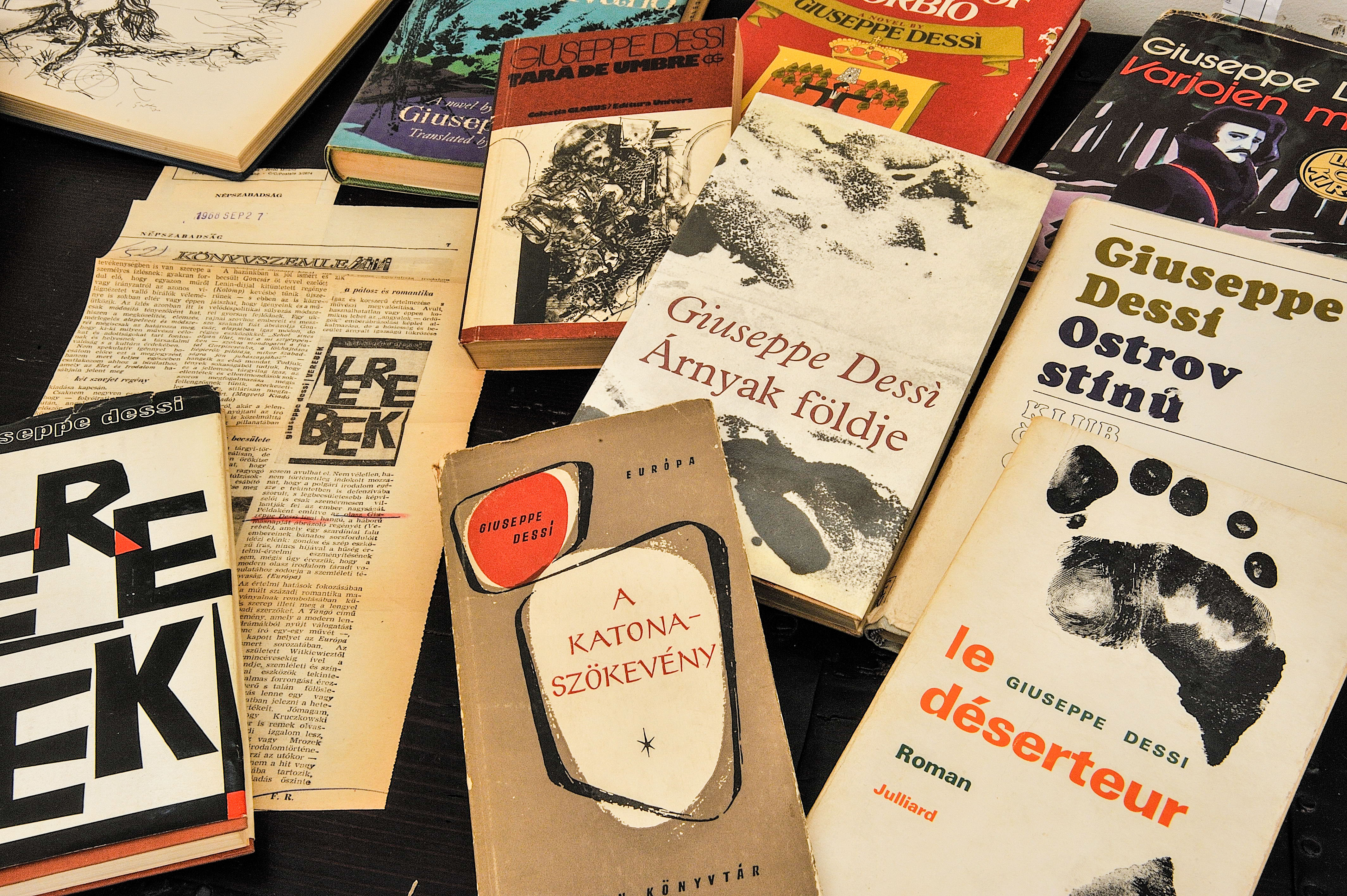 Visualizza la notizia: Inside the novels of Dessì