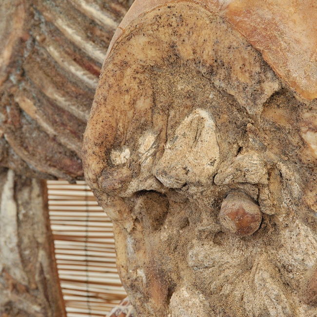 Prosciutto e pancetta