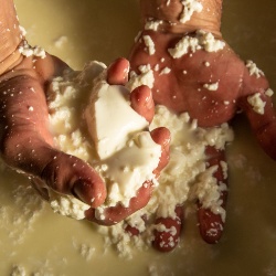 Preparazione artigianale del formaggio