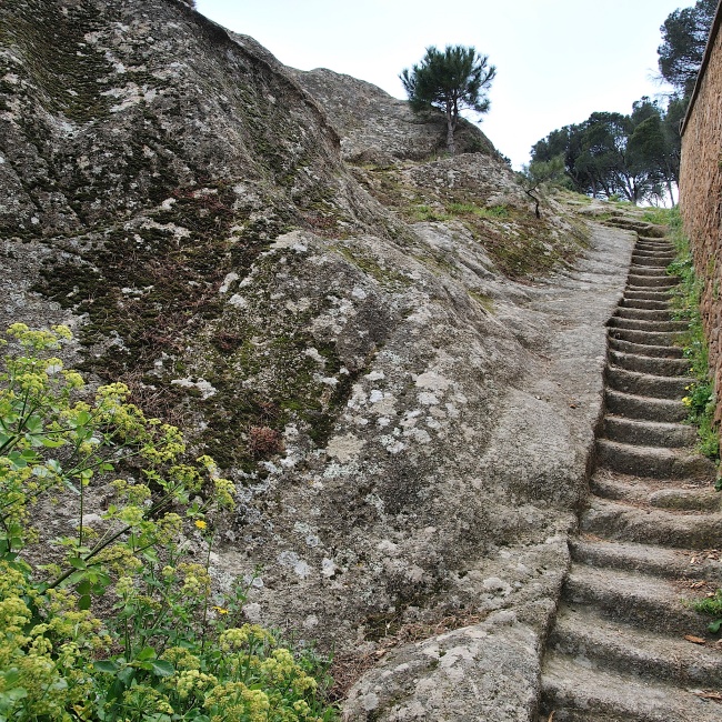 Ladder near the Carmelite church