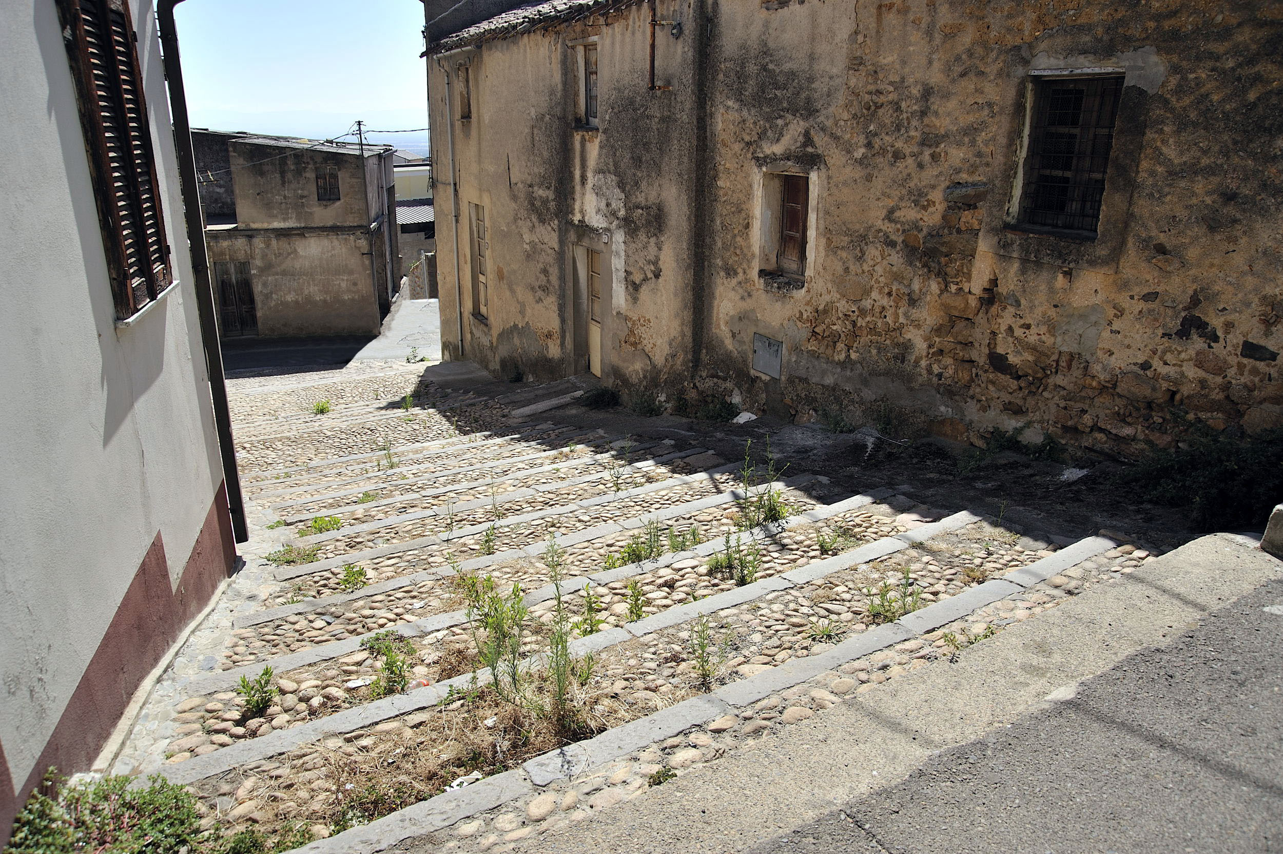 Visualizza la notizia: Climbing the ancient steps
