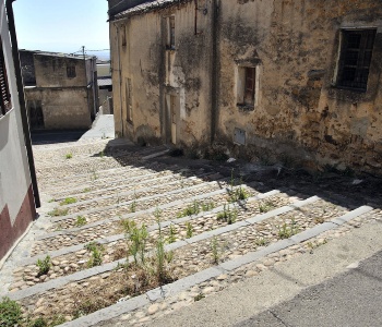 Visualizza la notizia: Climbing the ancient steps