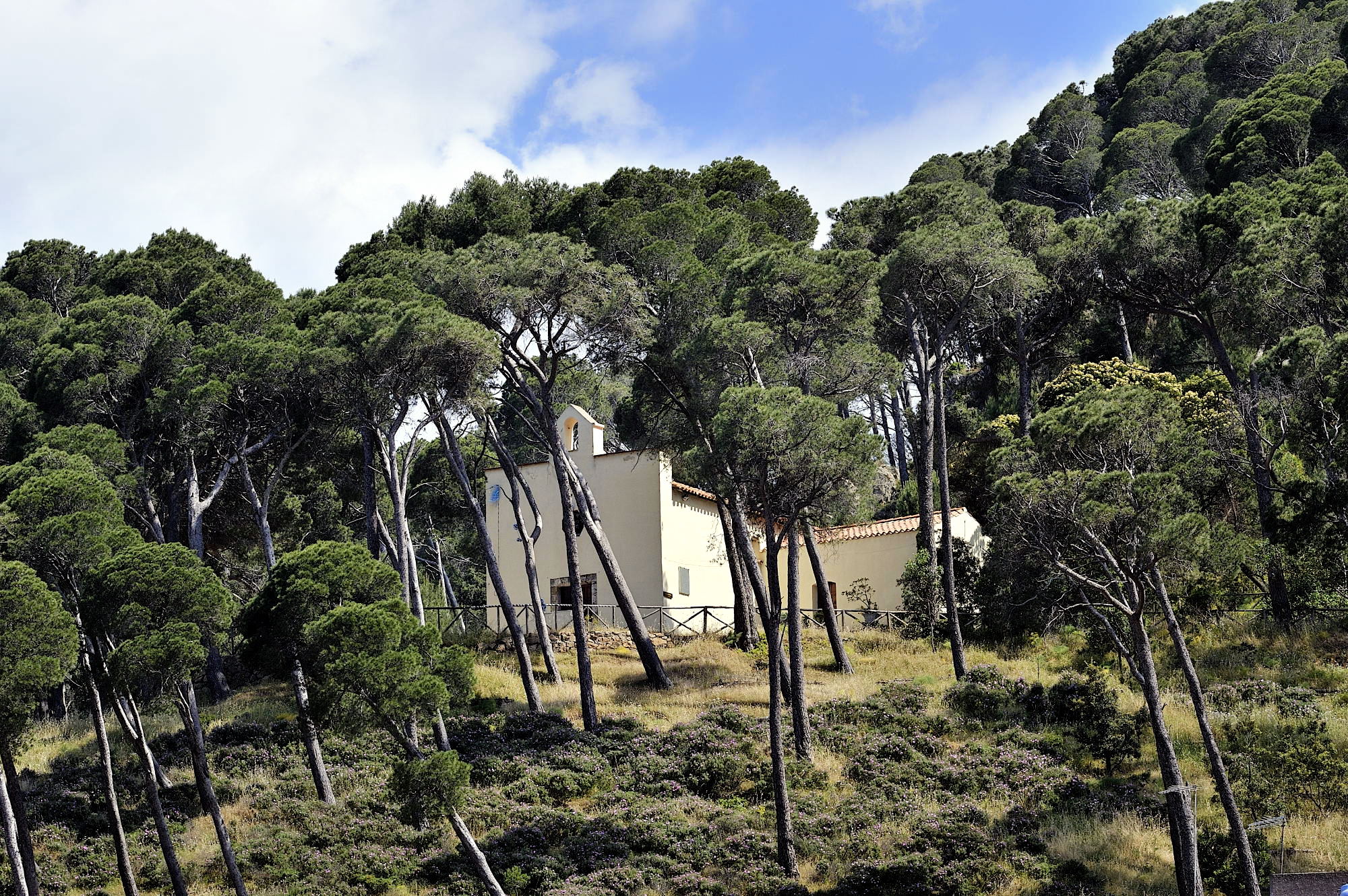 Chiesa del Carmine, veduta panoramica con la pineta