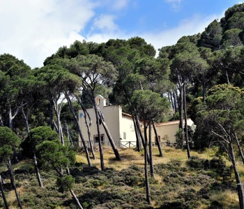 Visualizza la notizia: Chiesa di San Pietro