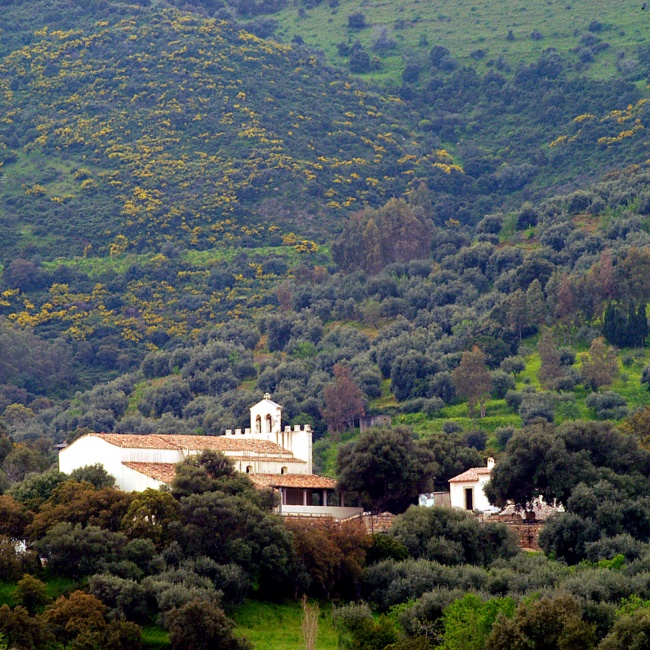 San Sisinnio, veduta della vallata e della chiesa immersa nel parco