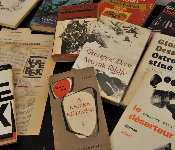 Visualizza la notizia: Parco Castangias