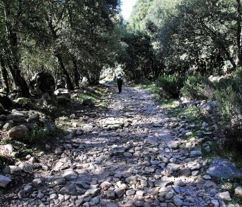 Visualizza la notizia: Parco Castangias