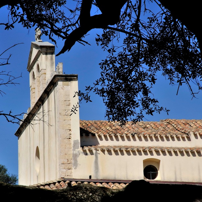 Chiesa di San Sisinnio, scorcio visto da un olivastro del parco