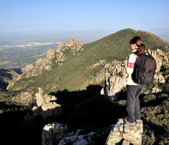 Visualizza la notizia: Parco Castangias