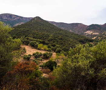 Visualizza la notizia: Piazza Seddanus