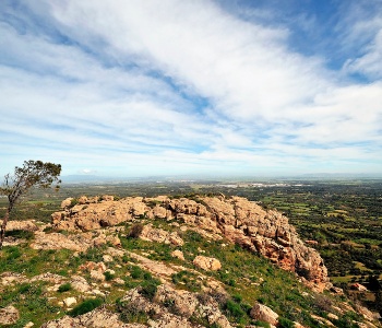 Visualizza la notizia: Parco Castangias