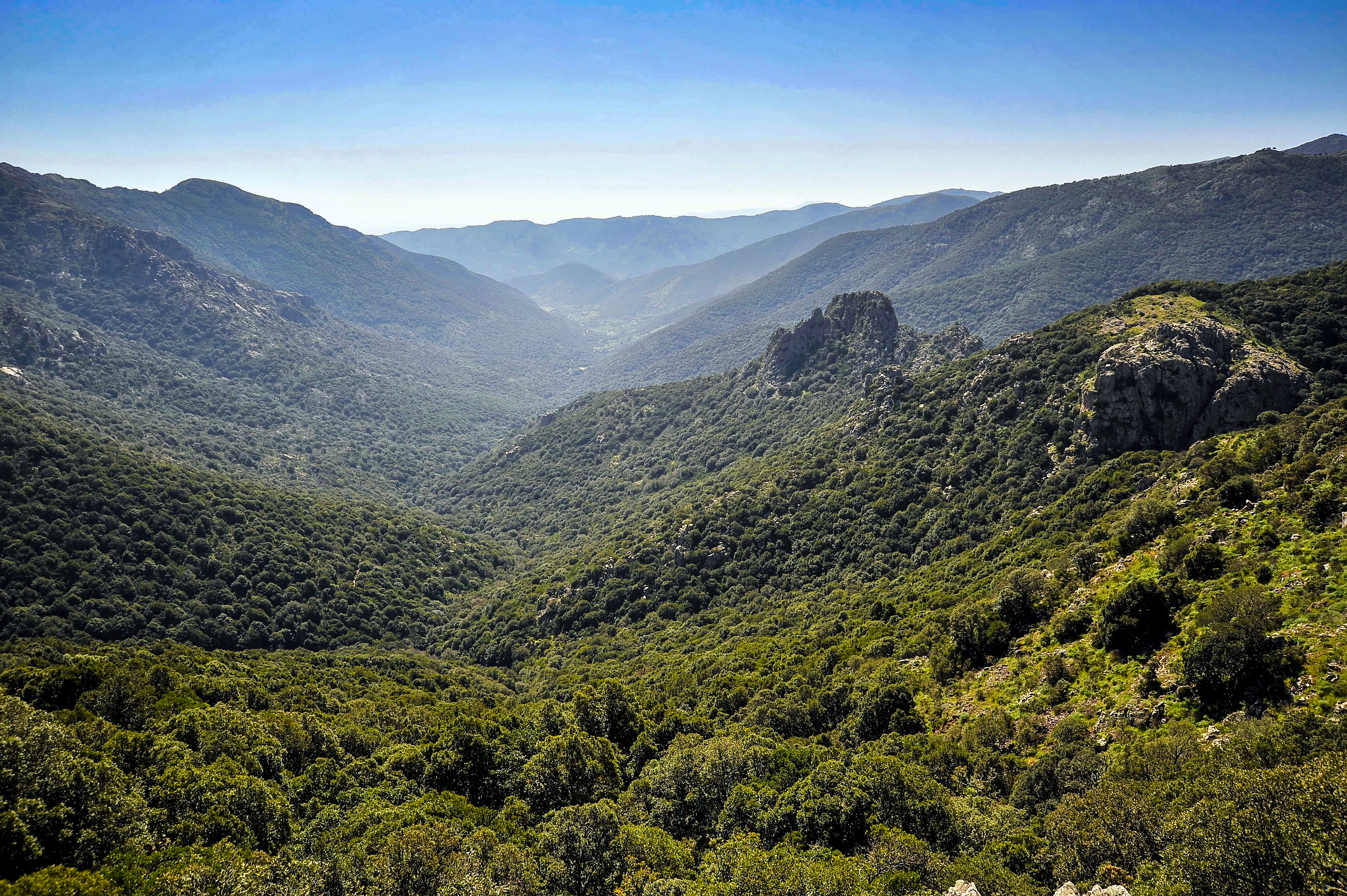 Visualizza la notizia: Parco di Villascema