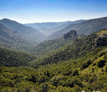 Visualizza la notizia: Parco di Villascema