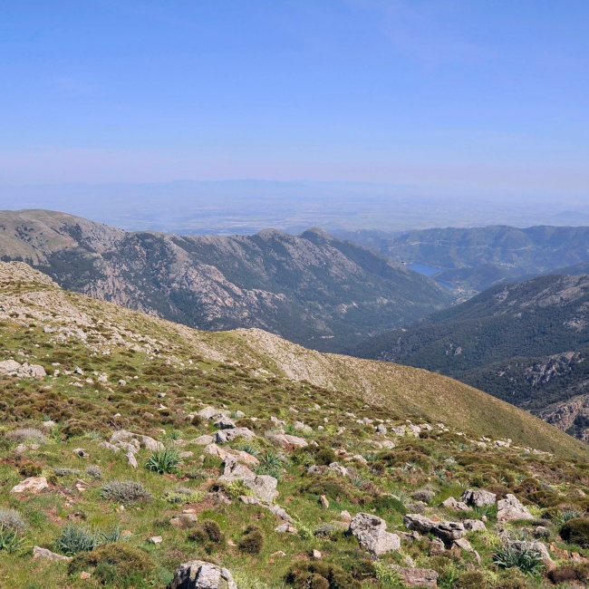 Punta Camedda, panorama of the territory