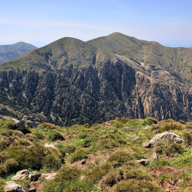 Punta Camedda, panorama of the territory
