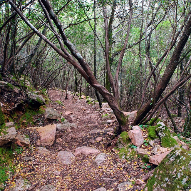 The path marked with red-white-red 113