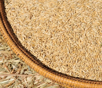 Visualizza la notizia: Church of Santa Barbara