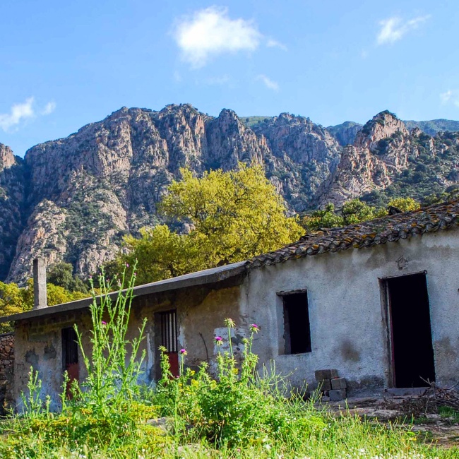 Cantina Ferraris, sullo sfondo le guglie granitiche del Linas