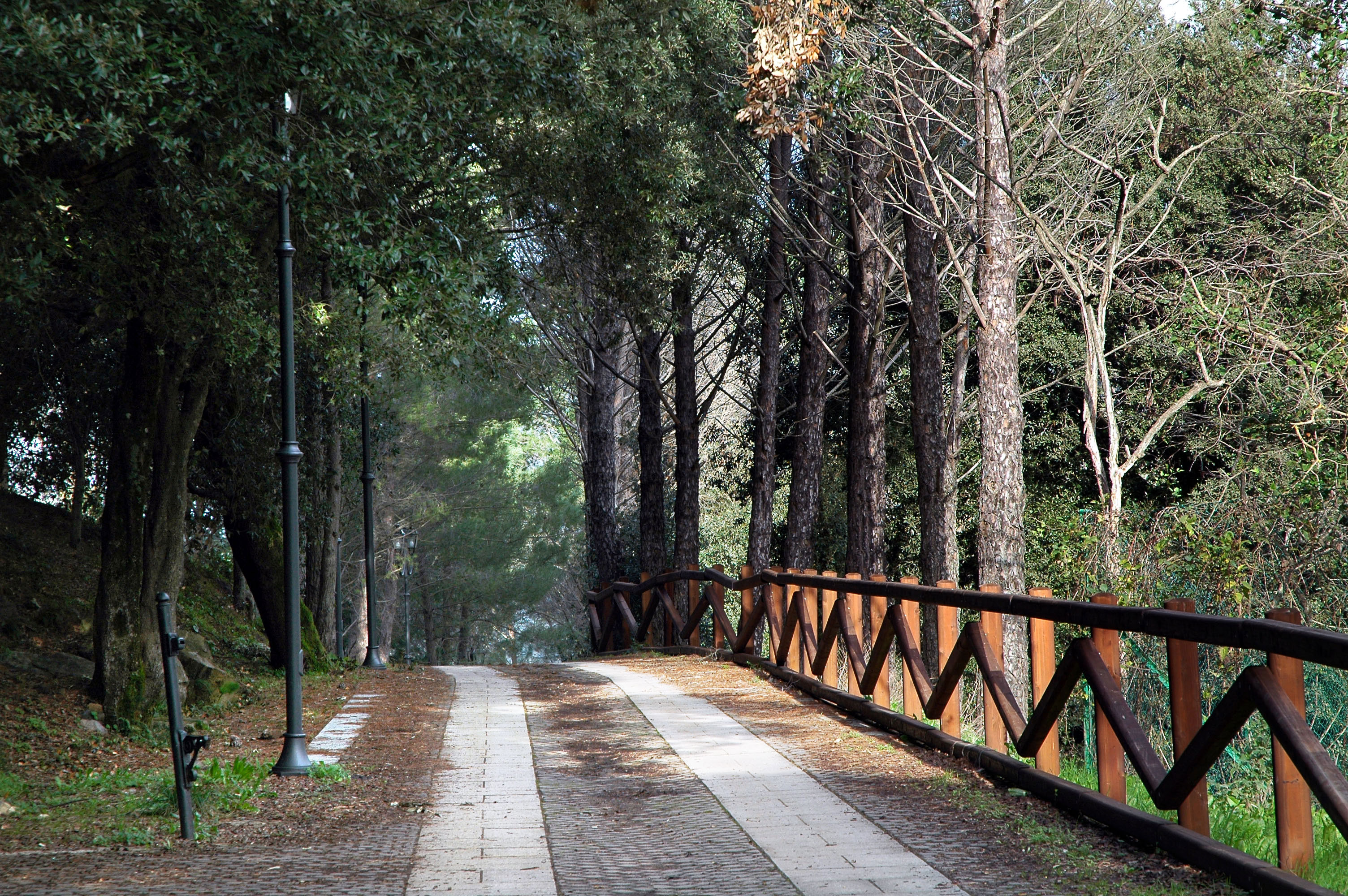 Visualizza la notizia: Parco di Villascema