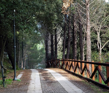 Visualizza la notizia: Parco di Villascema