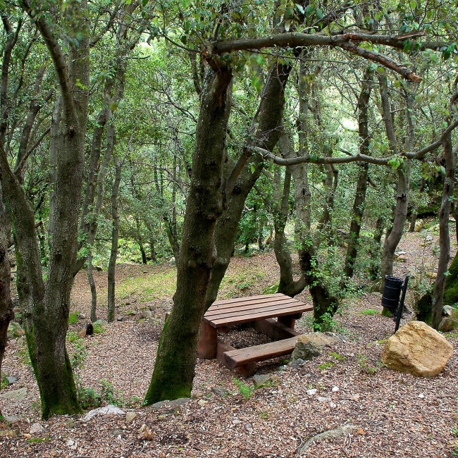 Perd'e Pibera Park, equipped area in the woods