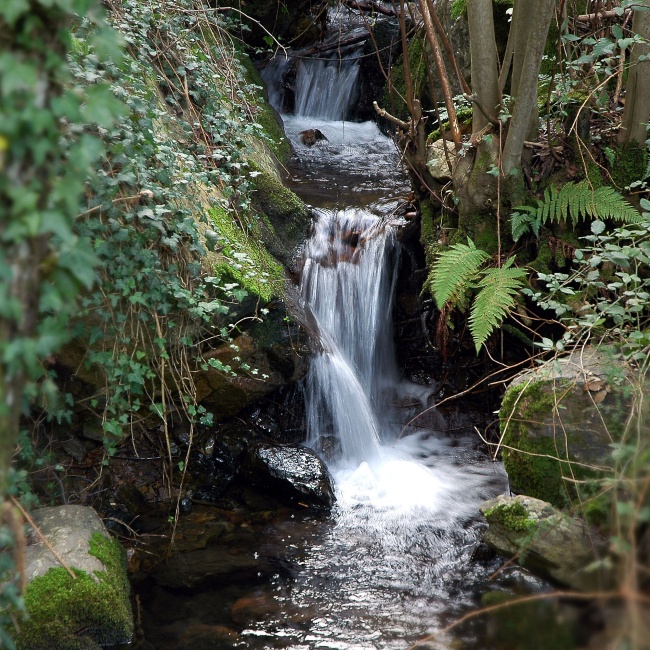 Perd'e Pibera Park, stream