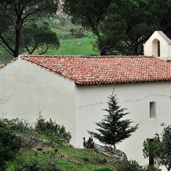 Chiesa del Carmine e la pineta