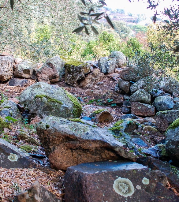Structures of the nuraghe