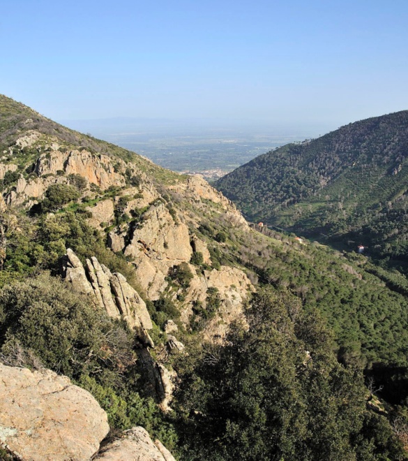 Panoramic view