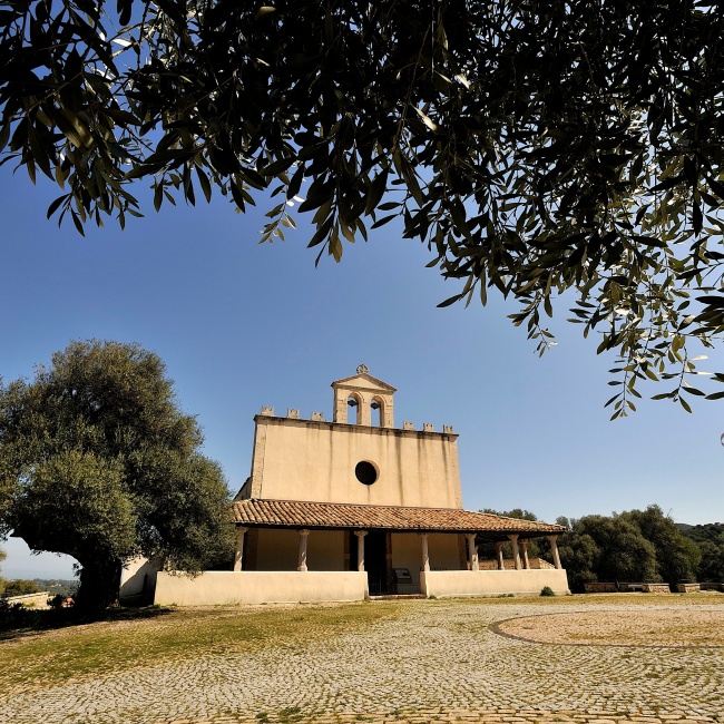 Video San Sisinnio, the Park and the olive trees