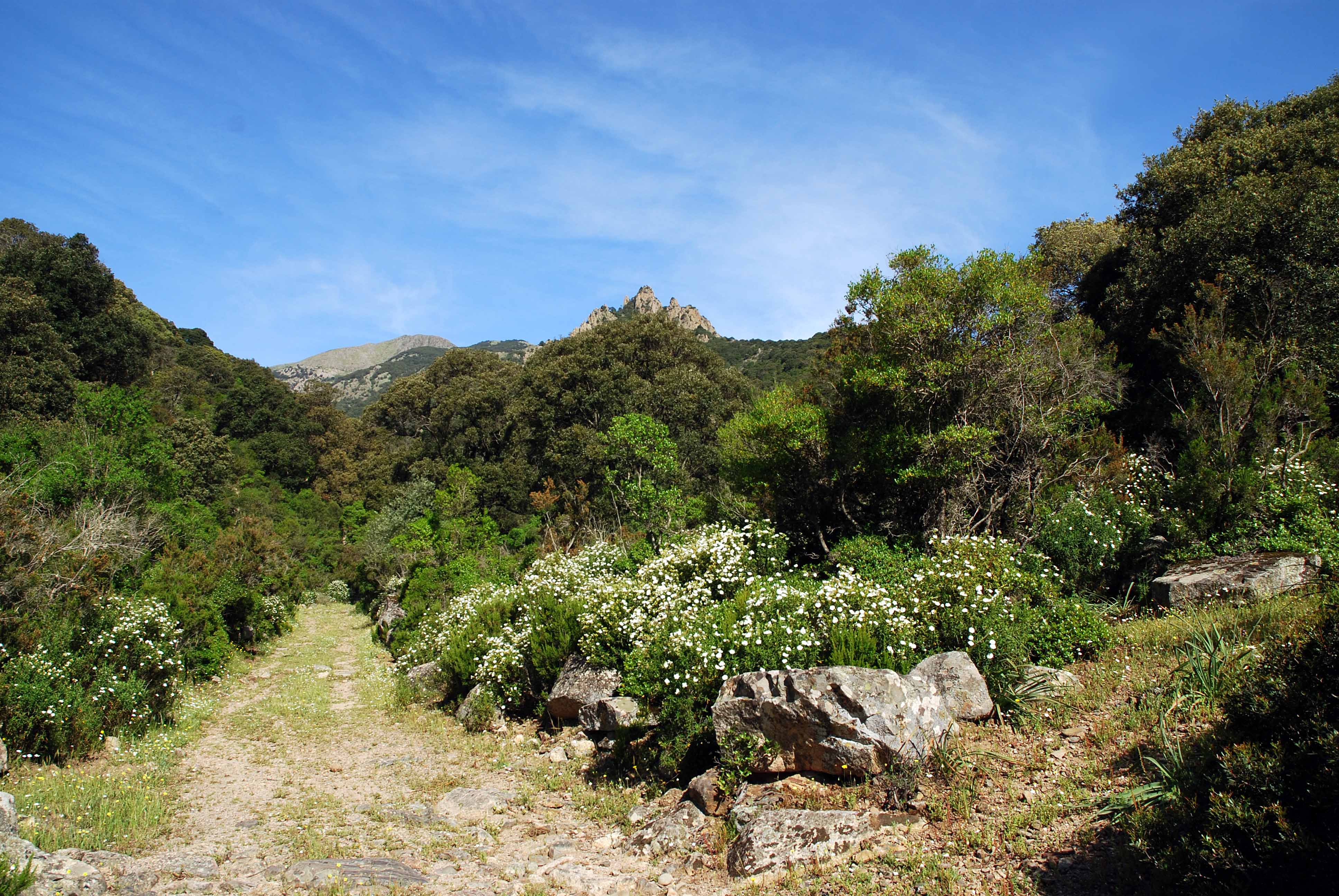 Visualizza la notizia: Parco di Villascema