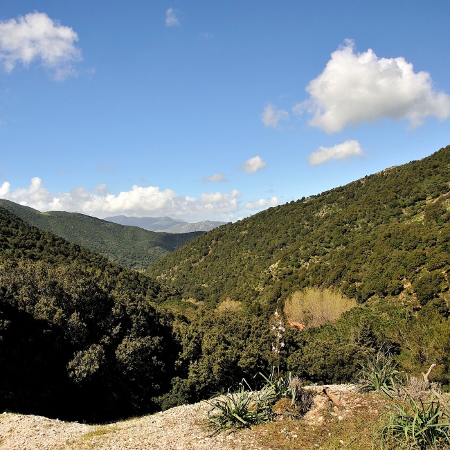Parco di Perd'e Pibera