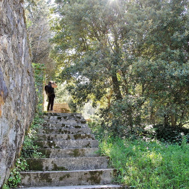Parco di Perd'e Pibera