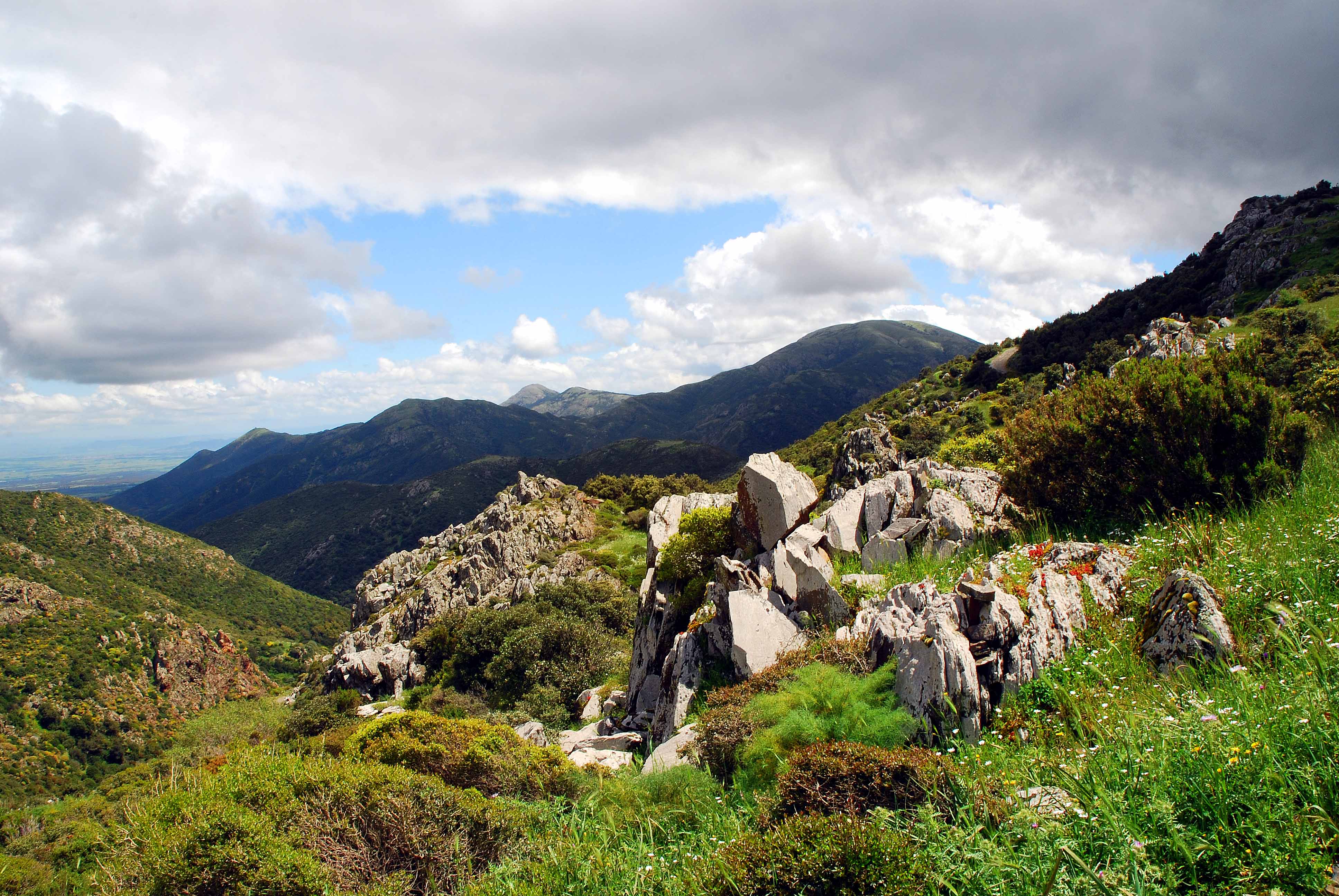 Territorio del Parco