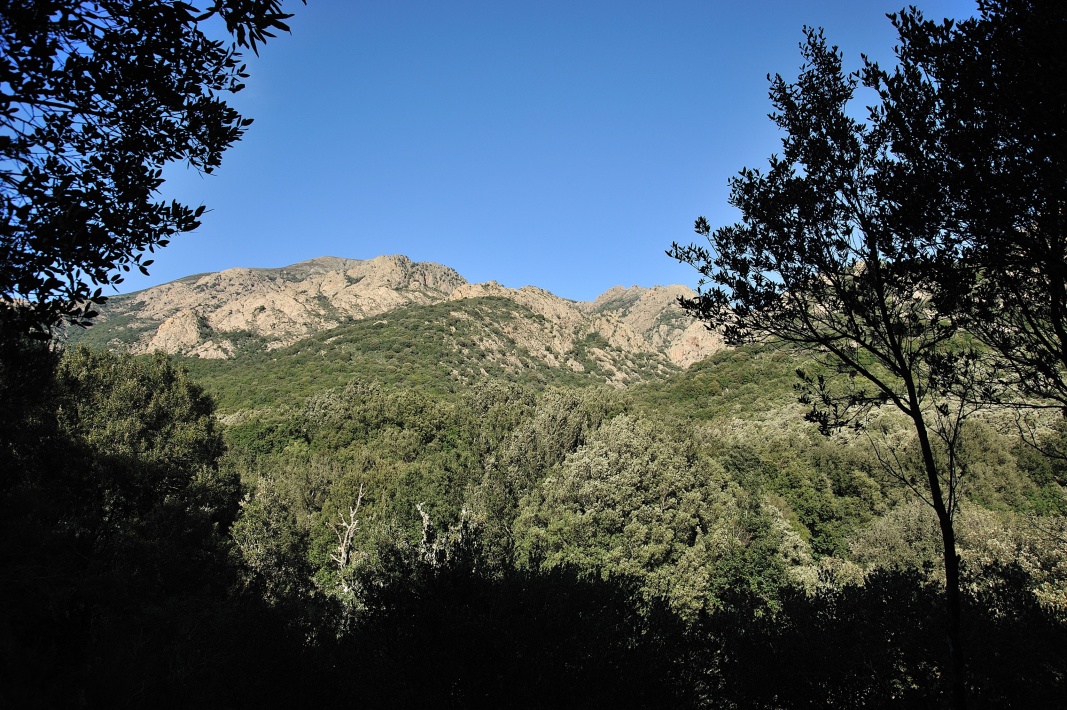Forest Bathing tra i colori delle cascate di Villacidro